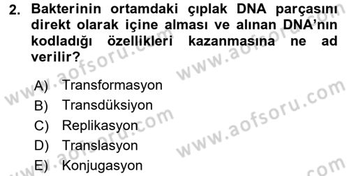 Temel Veteriner Mikrobiyoloji ve İmmünoloji Dersi 2016 - 2017 Yılı (Vize) Ara Sınavı 2. Soru