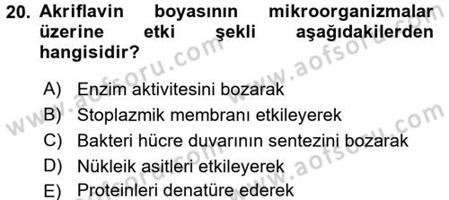 Temel Veteriner Mikrobiyoloji ve İmmünoloji Dersi 2016 - 2017 Yılı (Vize) Ara Sınavı 20. Soru