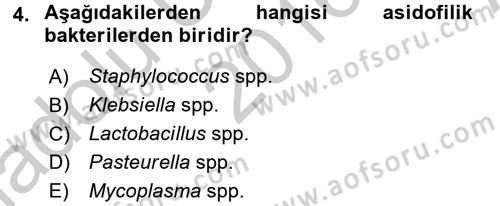 Temel Veteriner Mikrobiyoloji ve İmmünoloji Dersi 2016 - 2017 Yılı (Vize) Ara Sınavı 4. Soru