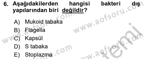 Temel Veteriner Mikrobiyoloji ve İmmünoloji Dersi 2016 - 2017 Yılı (Vize) Ara Sınavı 6. Soru