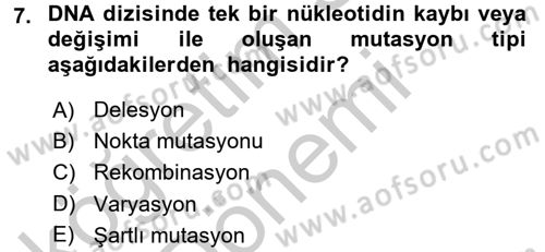 Temel Veteriner Mikrobiyoloji ve İmmünoloji Dersi 2016 - 2017 Yılı (Vize) Ara Sınavı 7. Soru