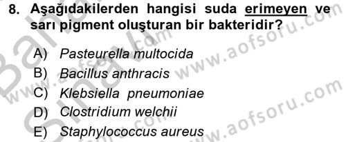 Temel Veteriner Mikrobiyoloji ve İmmünoloji Dersi 2016 - 2017 Yılı (Vize) Ara Sınavı 8. Soru