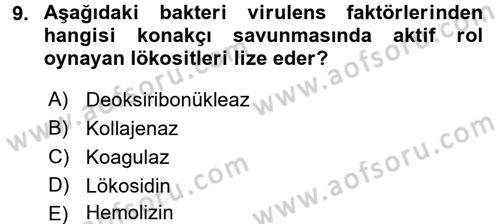 Temel Veteriner Mikrobiyoloji ve İmmünoloji Dersi 2016 - 2017 Yılı (Vize) Ara Sınavı 9. Soru