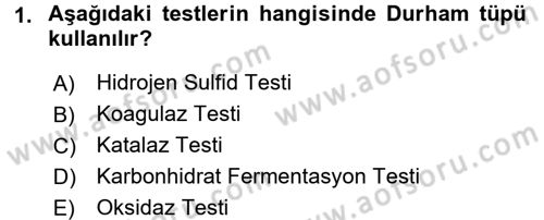 Temel Veteriner Mikrobiyoloji ve İmmünoloji Dersi 2016 - 2017 Yılı (Final) Dönem Sonu Sınav Soruları 1. Soru