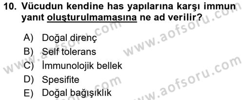 Temel Veteriner Mikrobiyoloji ve İmmünoloji Dersi 2016 - 2017 Yılı (Final) Dönem Sonu Sınav Soruları 10. Soru