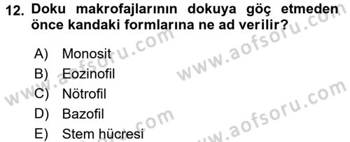 Temel Veteriner Mikrobiyoloji ve İmmünoloji Dersi 2016 - 2017 Yılı (Final) Dönem Sonu Sınav Soruları 12. Soru