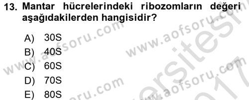 Temel Veteriner Mikrobiyoloji ve İmmünoloji Dersi 2016 - 2017 Yılı (Final) Dönem Sonu Sınav Soruları 13. Soru