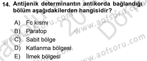 Temel Veteriner Mikrobiyoloji ve İmmünoloji Dersi 2016 - 2017 Yılı (Final) Dönem Sonu Sınavı 14. Soru