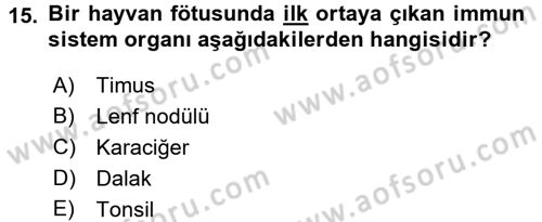 Temel Veteriner Mikrobiyoloji ve İmmünoloji Dersi 2016 - 2017 Yılı (Final) Dönem Sonu Sınav Soruları 15. Soru