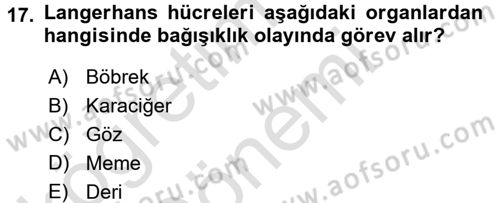 Temel Veteriner Mikrobiyoloji ve İmmünoloji Dersi 2016 - 2017 Yılı (Final) Dönem Sonu Sınav Soruları 17. Soru