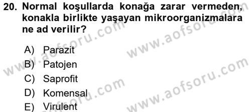 Temel Veteriner Mikrobiyoloji ve İmmünoloji Dersi 2016 - 2017 Yılı (Final) Dönem Sonu Sınavı 20. Soru