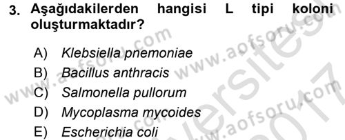 Temel Veteriner Mikrobiyoloji ve İmmünoloji Dersi 2016 - 2017 Yılı (Final) Dönem Sonu Sınav Soruları 3. Soru