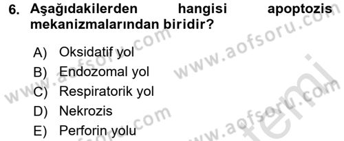 Temel Veteriner Mikrobiyoloji ve İmmünoloji Dersi 2016 - 2017 Yılı (Final) Dönem Sonu Sınav Soruları 6. Soru