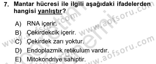 Temel Veteriner Mikrobiyoloji ve İmmünoloji Dersi 2016 - 2017 Yılı (Final) Dönem Sonu Sınav Soruları 7. Soru