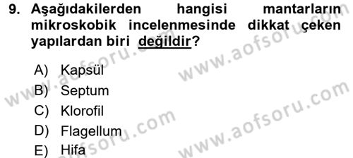 Temel Veteriner Mikrobiyoloji ve İmmünoloji Dersi 2016 - 2017 Yılı (Final) Dönem Sonu Sınav Soruları 9. Soru