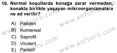 Temel Veteriner Mikrobiyoloji ve İmmünoloji Dersi 2017 - 2018 Yılı 3 Ders Sınav Soruları 10. Soru