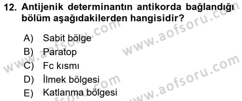 Temel Veteriner Mikrobiyoloji ve İmmünoloji Dersi 2017 - 2018 Yılı 3 Ders Sınavı 12. Soru