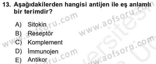 Temel Veteriner Mikrobiyoloji ve İmmünoloji Dersi 2017 - 2018 Yılı 3 Ders Sınav Soruları 13. Soru