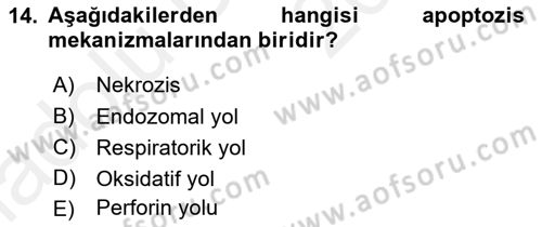 Temel Veteriner Mikrobiyoloji ve İmmünoloji Dersi 2017 - 2018 Yılı 3 Ders Sınav Soruları 14. Soru