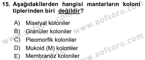 Temel Veteriner Mikrobiyoloji ve İmmünoloji Dersi 2017 - 2018 Yılı 3 Ders Sınav Soruları 15. Soru