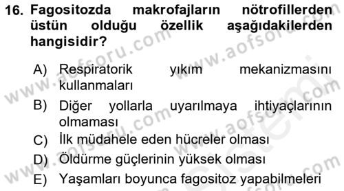 Temel Veteriner Mikrobiyoloji ve İmmünoloji Dersi 2017 - 2018 Yılı 3 Ders Sınav Soruları 16. Soru