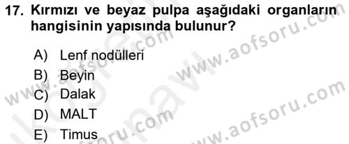 Temel Veteriner Mikrobiyoloji ve İmmünoloji Dersi 2017 - 2018 Yılı 3 Ders Sınavı 17. Soru