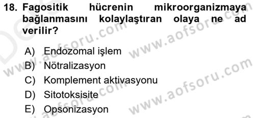 Temel Veteriner Mikrobiyoloji ve İmmünoloji Dersi 2017 - 2018 Yılı 3 Ders Sınav Soruları 18. Soru