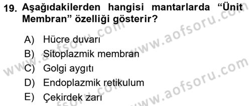 Temel Veteriner Mikrobiyoloji ve İmmünoloji Dersi 2017 - 2018 Yılı 3 Ders Sınav Soruları 19. Soru