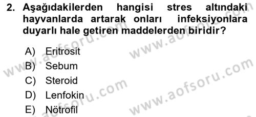 Temel Veteriner Mikrobiyoloji ve İmmünoloji Dersi 2017 - 2018 Yılı 3 Ders Sınav Soruları 2. Soru