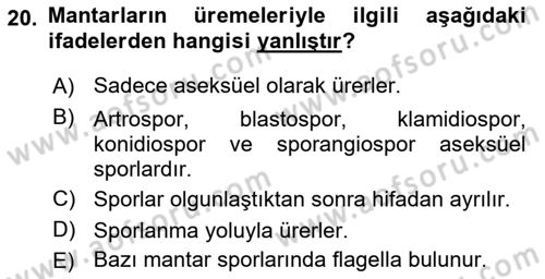 Temel Veteriner Mikrobiyoloji ve İmmünoloji Dersi 2017 - 2018 Yılı 3 Ders Sınav Soruları 20. Soru