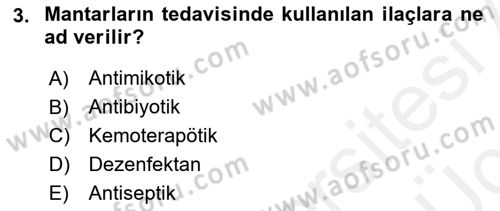 Temel Veteriner Mikrobiyoloji ve İmmünoloji Dersi 2017 - 2018 Yılı 3 Ders Sınav Soruları 3. Soru