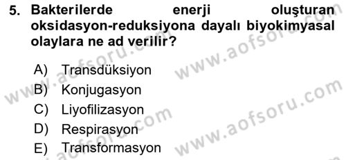 Temel Veteriner Mikrobiyoloji ve İmmünoloji Dersi 2017 - 2018 Yılı 3 Ders Sınavı 5. Soru