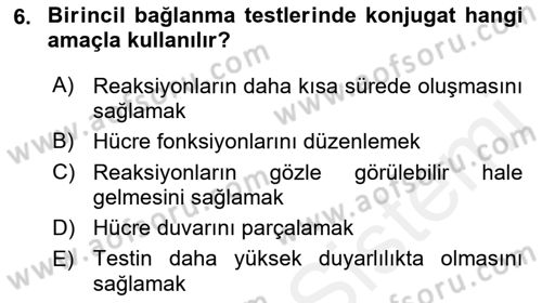 Temel Veteriner Mikrobiyoloji ve İmmünoloji Dersi 2017 - 2018 Yılı 3 Ders Sınav Soruları 6. Soru