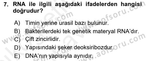 Temel Veteriner Mikrobiyoloji ve İmmünoloji Dersi 2017 - 2018 Yılı 3 Ders Sınav Soruları 7. Soru