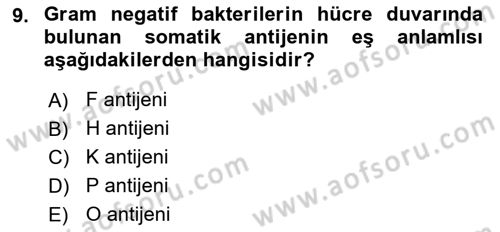 Temel Veteriner Mikrobiyoloji ve İmmünoloji Dersi 2017 - 2018 Yılı 3 Ders Sınav Soruları 9. Soru