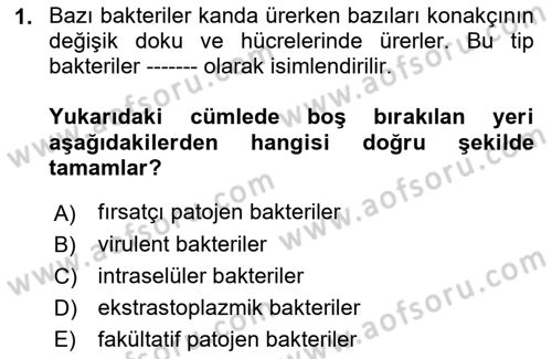 Temel Veteriner Mikrobiyoloji ve İmmünoloji Dersi 2017 - 2018 Yılı (Vize) Ara Sınav Soruları 1. Soru
