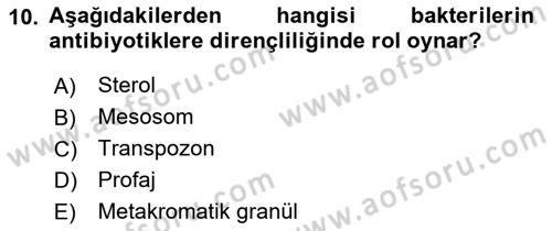Temel Veteriner Mikrobiyoloji ve İmmünoloji Dersi 2017 - 2018 Yılı (Vize) Ara Sınav Soruları 10. Soru