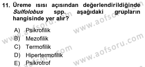 Temel Veteriner Mikrobiyoloji ve İmmünoloji Dersi 2017 - 2018 Yılı (Vize) Ara Sınav Soruları 11. Soru