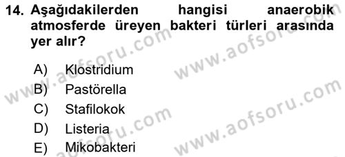 Temel Veteriner Mikrobiyoloji ve İmmünoloji Dersi 2017 - 2018 Yılı (Vize) Ara Sınav Soruları 14. Soru