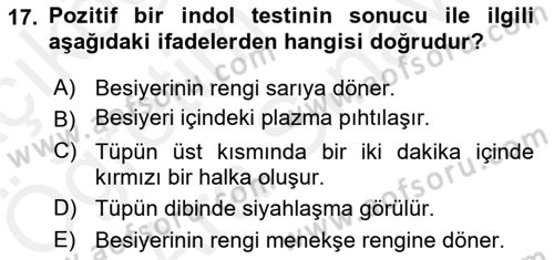 Temel Veteriner Mikrobiyoloji ve İmmünoloji Dersi 2017 - 2018 Yılı (Vize) Ara Sınav Soruları 17. Soru