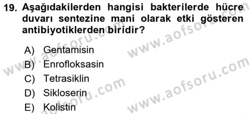 Temel Veteriner Mikrobiyoloji ve İmmünoloji Dersi 2017 - 2018 Yılı (Vize) Ara Sınav Soruları 19. Soru