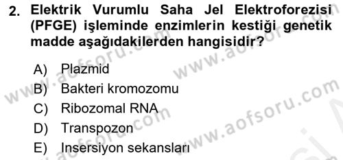 Temel Veteriner Mikrobiyoloji ve İmmünoloji Dersi 2017 - 2018 Yılı (Vize) Ara Sınav Soruları 2. Soru