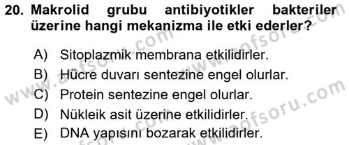 Temel Veteriner Mikrobiyoloji ve İmmünoloji Dersi 2017 - 2018 Yılı (Vize) Ara Sınav Soruları 20. Soru