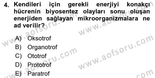 Temel Veteriner Mikrobiyoloji ve İmmünoloji Dersi 2017 - 2018 Yılı (Vize) Ara Sınav Soruları 4. Soru