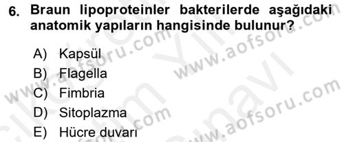 Temel Veteriner Mikrobiyoloji ve İmmünoloji Dersi 2017 - 2018 Yılı (Vize) Ara Sınav Soruları 6. Soru