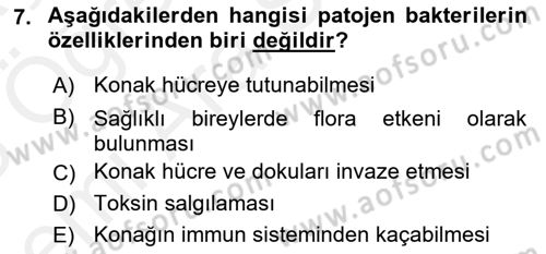 Temel Veteriner Mikrobiyoloji ve İmmünoloji Dersi 2017 - 2018 Yılı (Vize) Ara Sınav Soruları 7. Soru