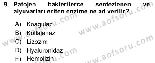 Temel Veteriner Mikrobiyoloji ve İmmünoloji Dersi 2017 - 2018 Yılı (Vize) Ara Sınav Soruları 9. Soru