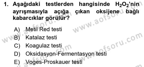 Temel Veteriner Mikrobiyoloji ve İmmünoloji Dersi 2017 - 2018 Yılı (Final) Dönem Sonu Sınav Soruları 1. Soru