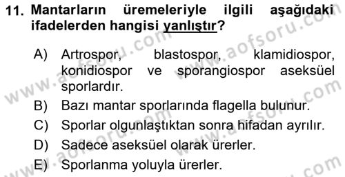 Temel Veteriner Mikrobiyoloji ve İmmünoloji Dersi 2017 - 2018 Yılı (Final) Dönem Sonu Sınav Soruları 11. Soru