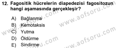 Temel Veteriner Mikrobiyoloji ve İmmünoloji Dersi 2017 - 2018 Yılı (Final) Dönem Sonu Sınav Soruları 12. Soru